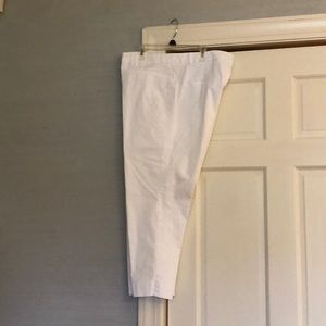 Ann Taylor The Cotton Crop